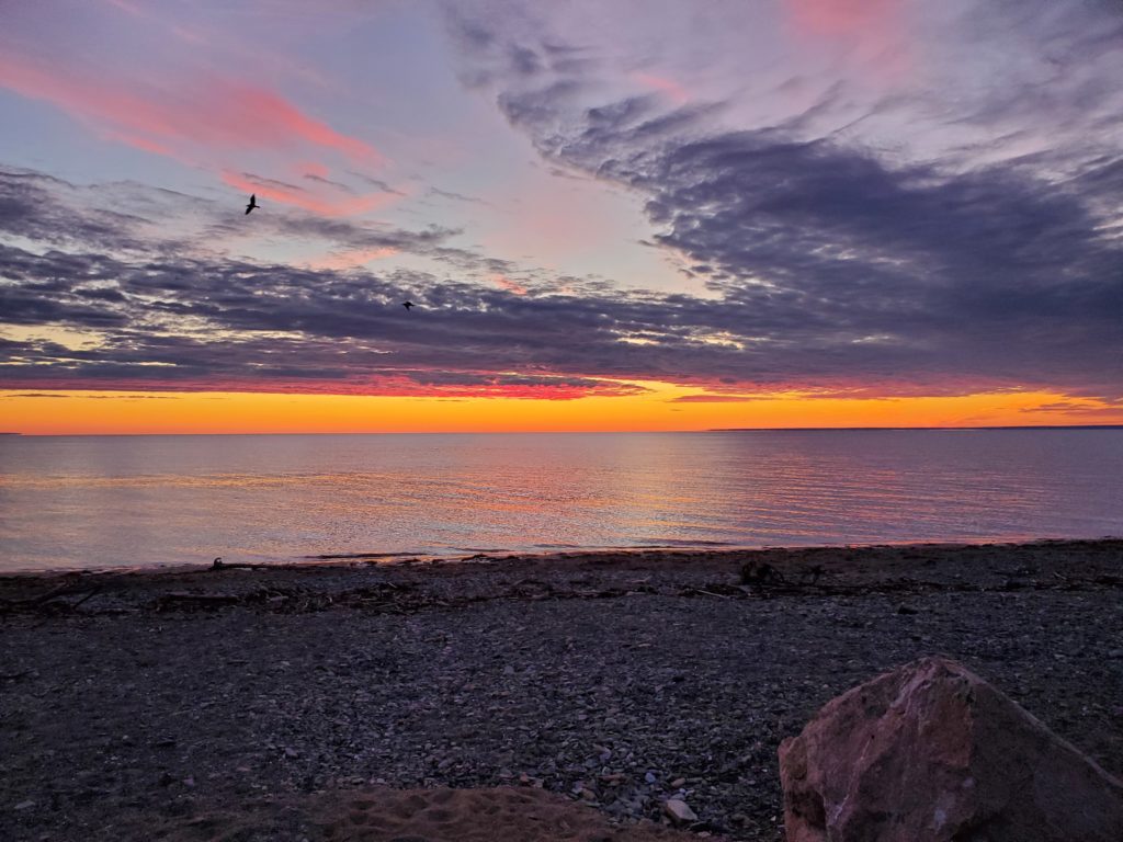 Beresford Beach Park / #CanadaDo / Best birdwatching spots in New Brunswick